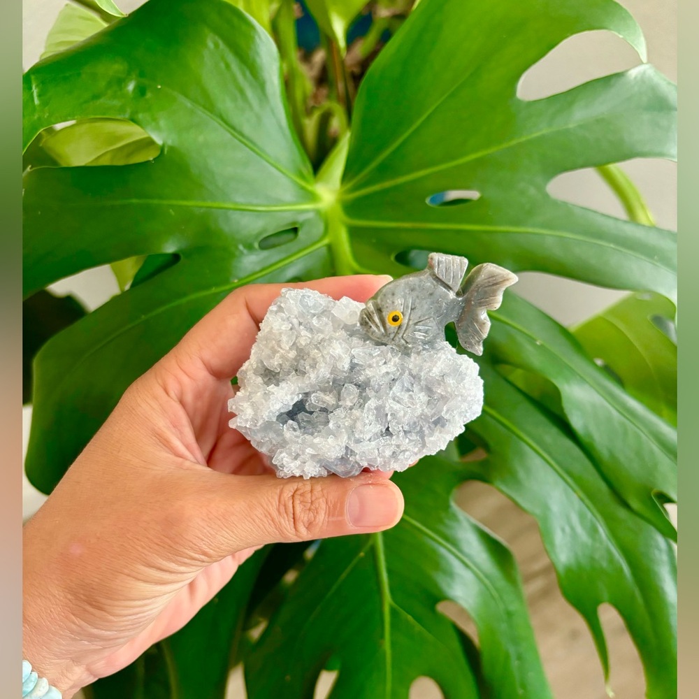 Fish Carving on Celestite cluster || Handcrafted collectible crystal Art